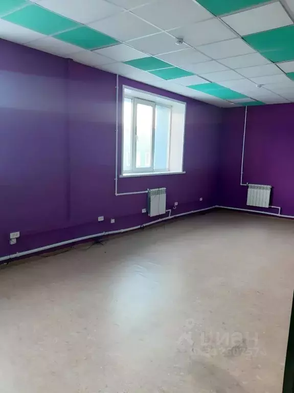 Офис в Новосибирская область, Новосибирск ул. Добролюбова, 16 (46 м) - Фото 1