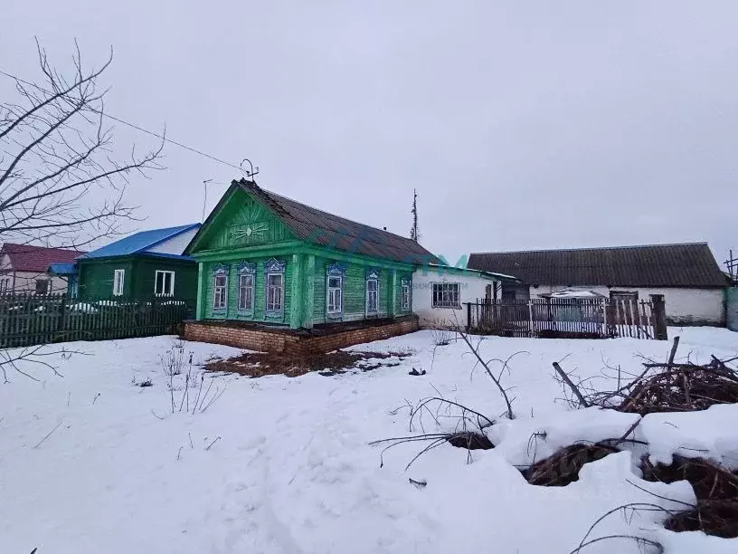 Дом в Пензенская область, Бессоновский район, с. Грабово Огородная ул. ... - Фото 0