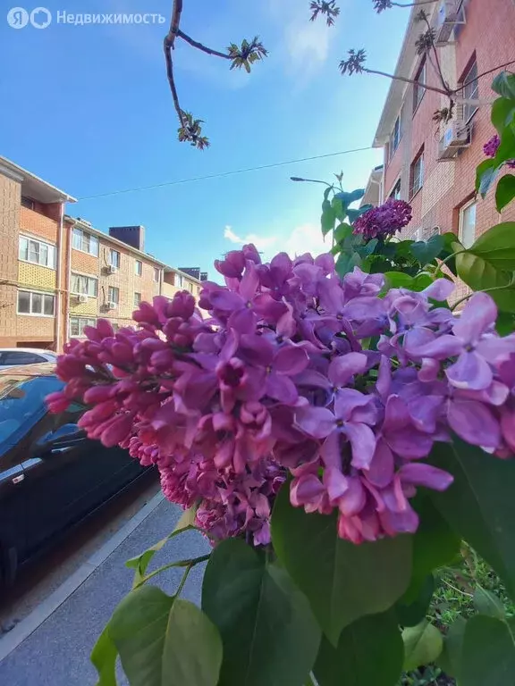 1-комнатная квартира: Щепкинское сельское поселение, посёлок ... - Фото 0