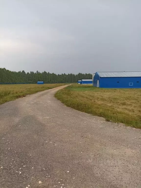 Производственное помещение в Смоленская область, Темкинский ... - Фото 2