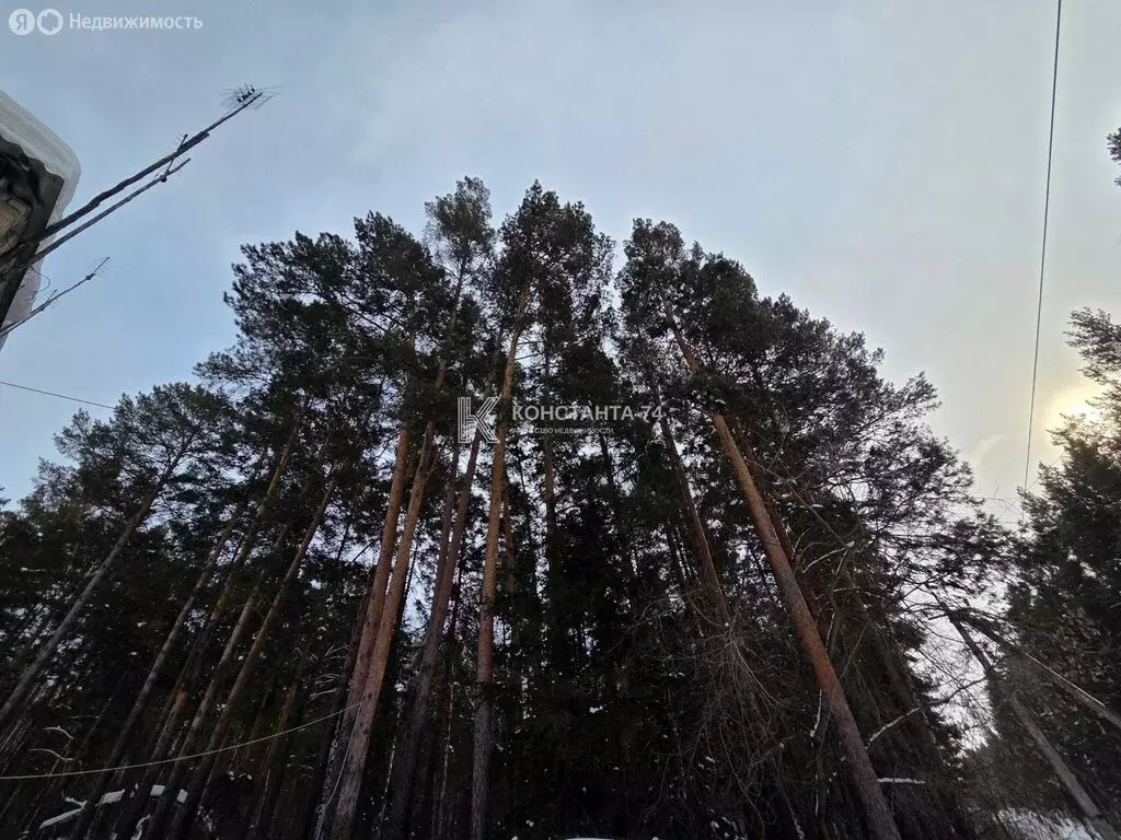 2-комнатная квартира: Чебаркуль, территория Санаторий Еловое, 1 (44.4 ... - Фото 1