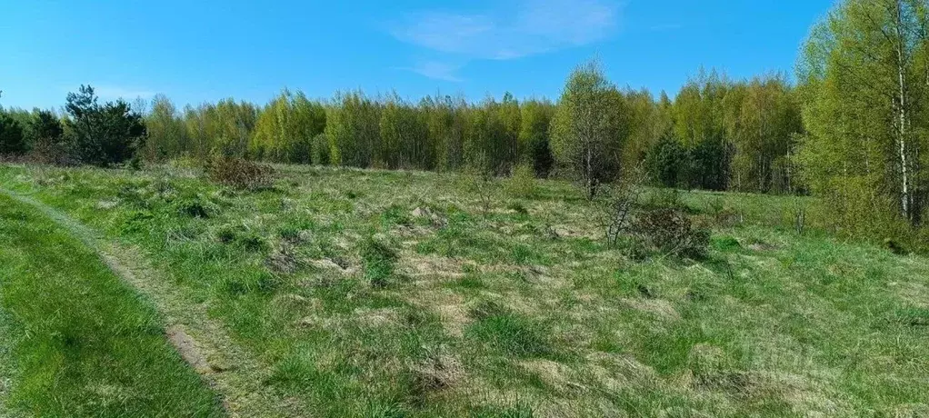 Участок в Псковская область, Гдовский муниципальный округ, д. Великуша ... - Фото 2