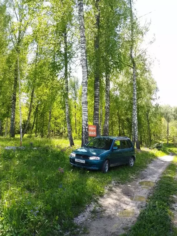 Участок в Новосибирская область, Новосибирский район, Барышевский ... - Фото 1