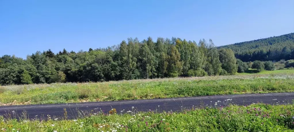 Участок в Московская область, Пушкинский городской округ, д. ... - Фото 1