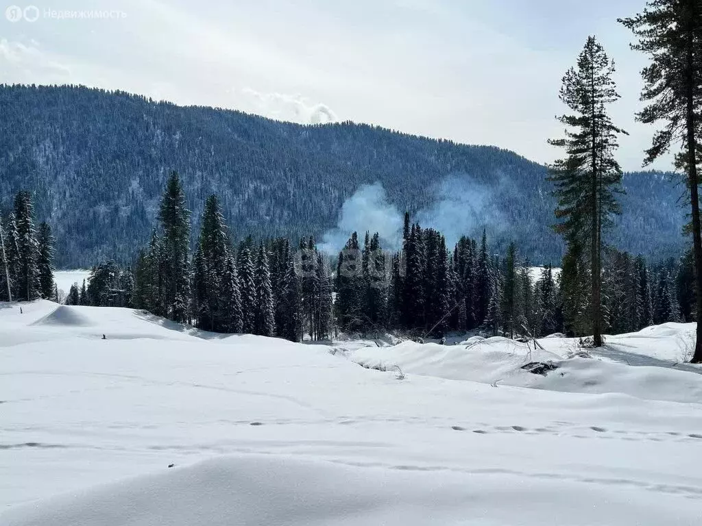 Участок в Турочакский район, село Артыбаш (97 м) - Фото 0