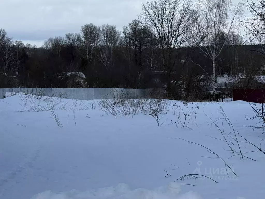 Участок в Московская область, Кашира городской округ, д. Топканово ул. ... - Фото 1