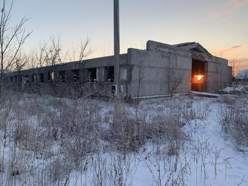 Участок в Алтайский край, Барнаул городской округ, пос. Центральный, ... - Фото 0