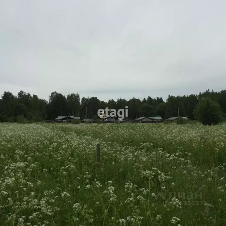 Участок в Ленинградская область, Приозерский район, Ромашкинское ... - Фото 0