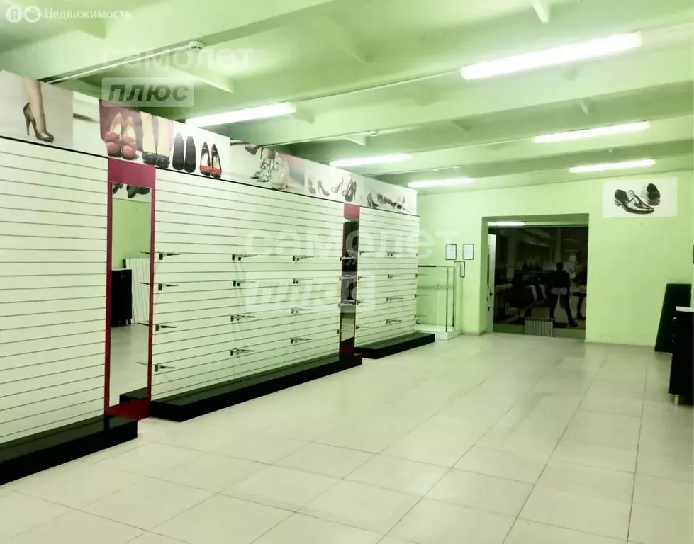 Помещение свободного назначения (248.2 м) - Фото 2