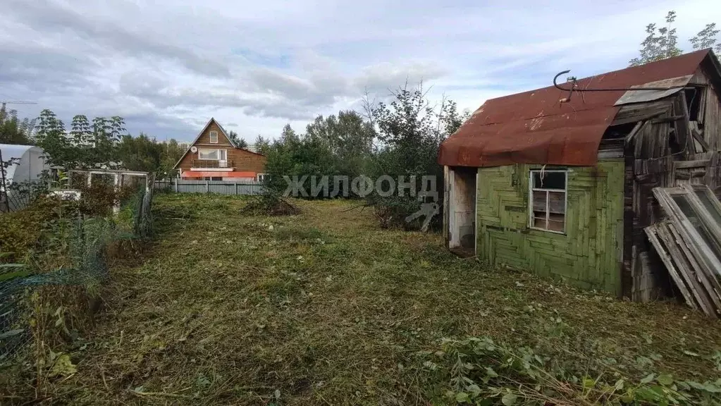 Участок в Новосибирская область, Новосибирск Угольщик садовое ... - Фото 0