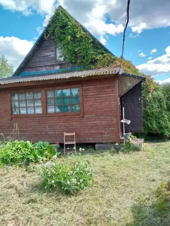 Участок в Ленинградская область, Гатчинский район, Чаща садоводческий ... - Фото 0