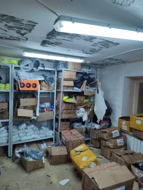 Помещение свободного назначения в Пензенская область, Пенза Окружная ... - Фото 1