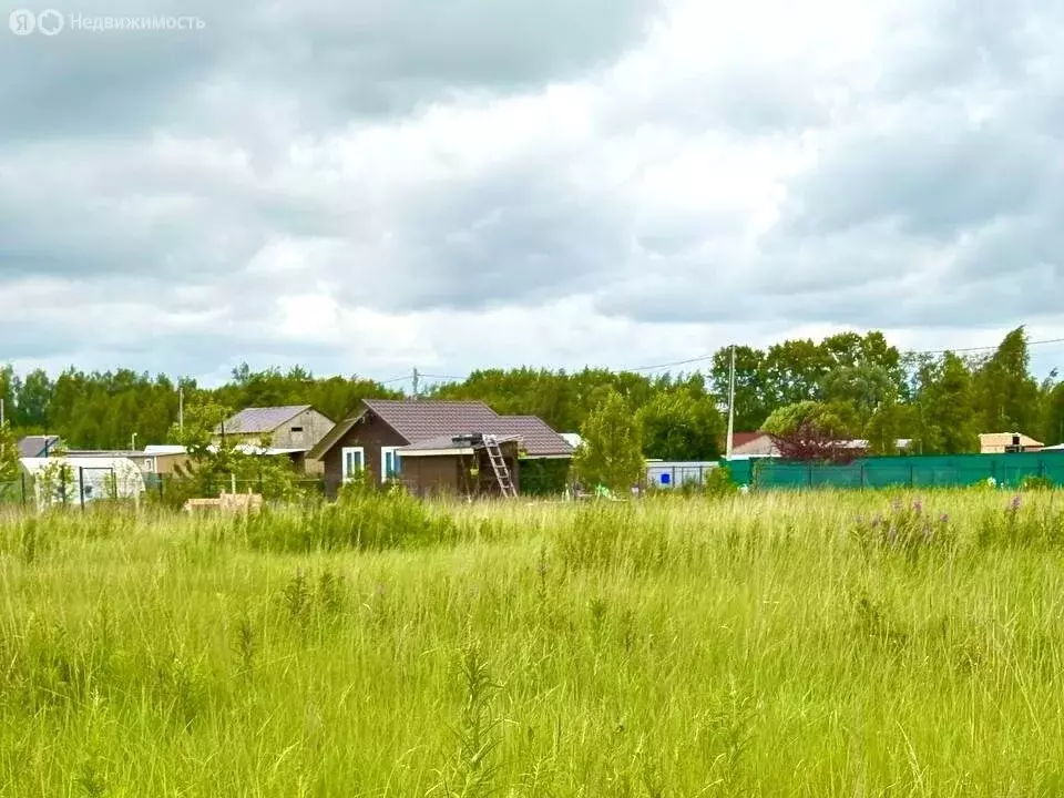 Участок в Московская область, Раменский муниципальный округ, ДНП ... - Фото 0