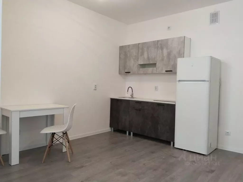 Студия Санкт-Петербург пос. Парголово, дор. Михайловская, 6 (29.2 м) - Фото 0