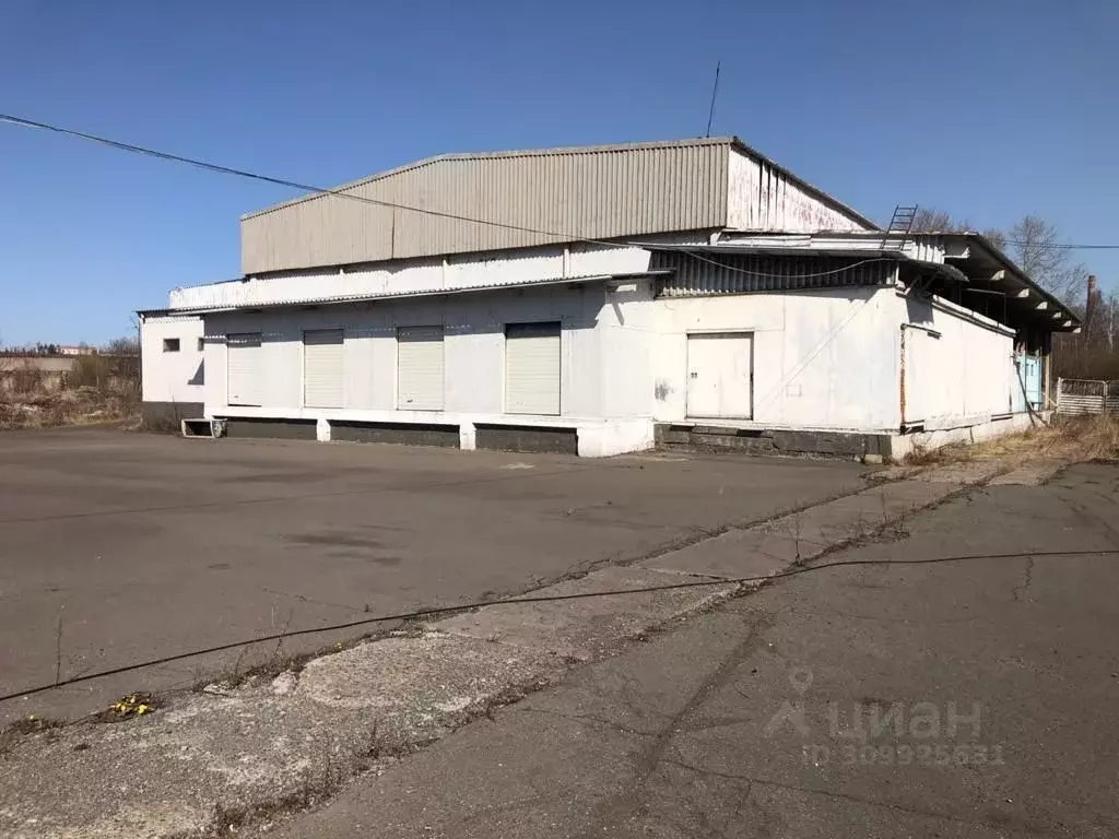 Склад в Свердловская область, Нижний Тагил Балакинская ул., 68 (1031 ... - Фото 0