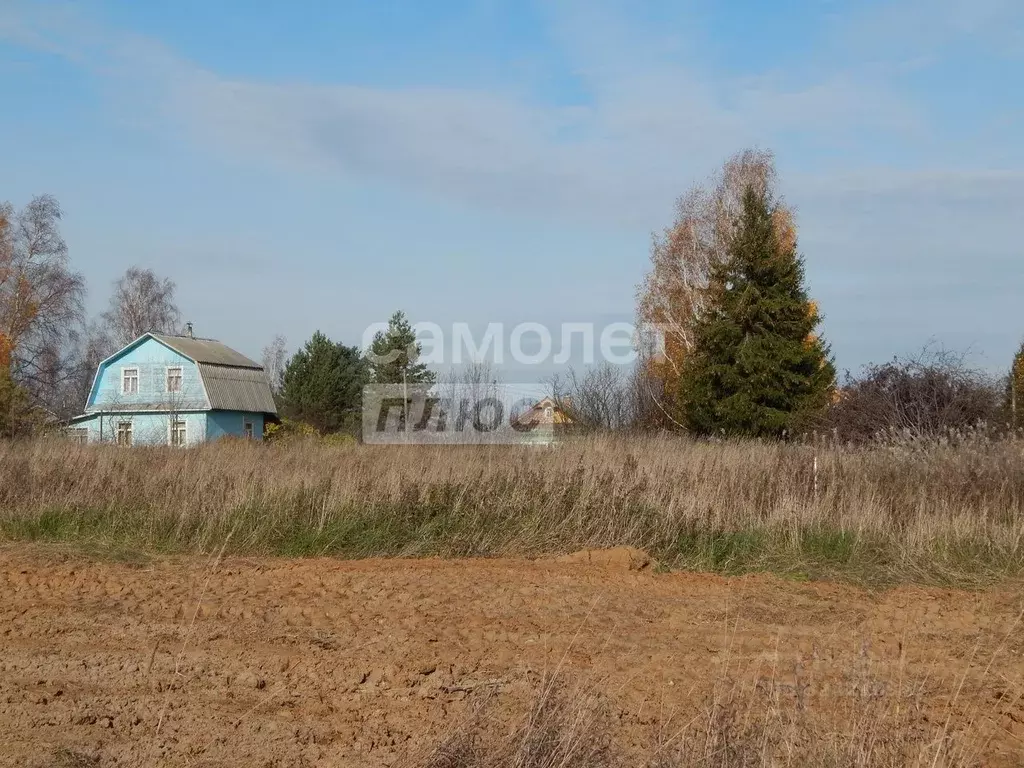 Участок в Вологодская область, д. Голузино  (22.0 сот.) - Фото 2