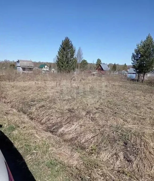 Участок в Ярославская область, Ярославский муниципальный округ, Мечта ... - Фото 1