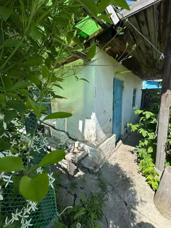 Дом в Новосибирская область, Новосибирск СН Мичурина-3 СНТ,  (29 м) - Фото 0