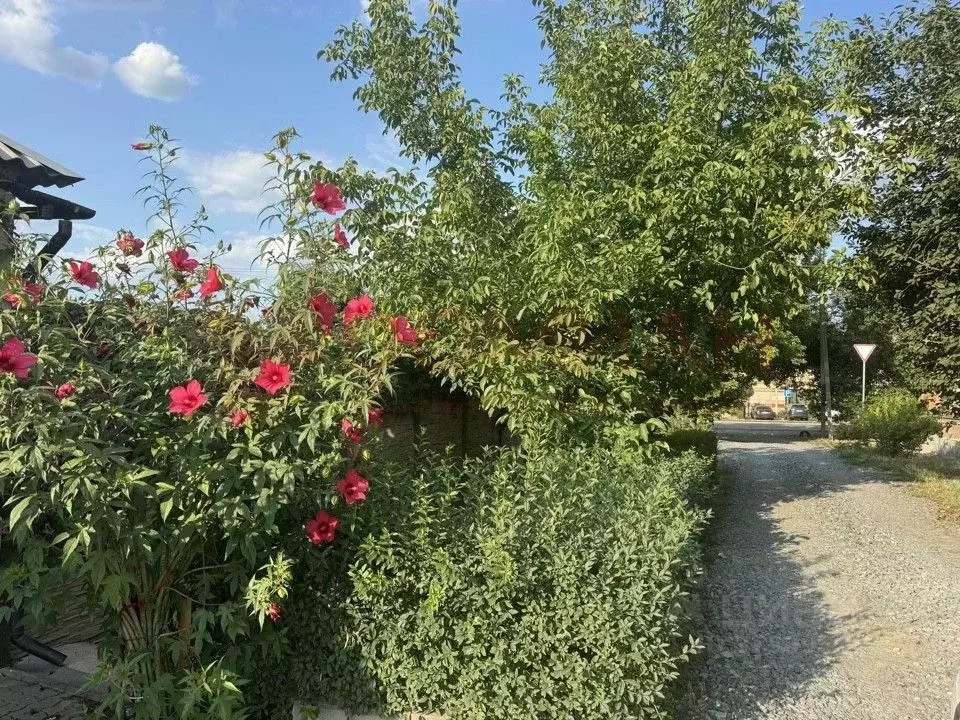 Участок в Ростовская область, Ростов-на-Дону Зрелищная ул. (3.0 сот.) - Фото 1