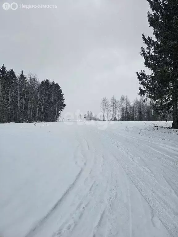 Участок в Добрянский городской округ, деревня Залесная (7.9 м) - Фото 0