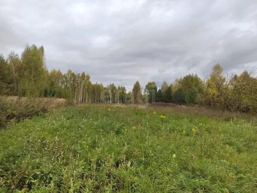 Участок в Владимирская область, Ковровский район, Клязьминское с/пос, ... - Фото 2