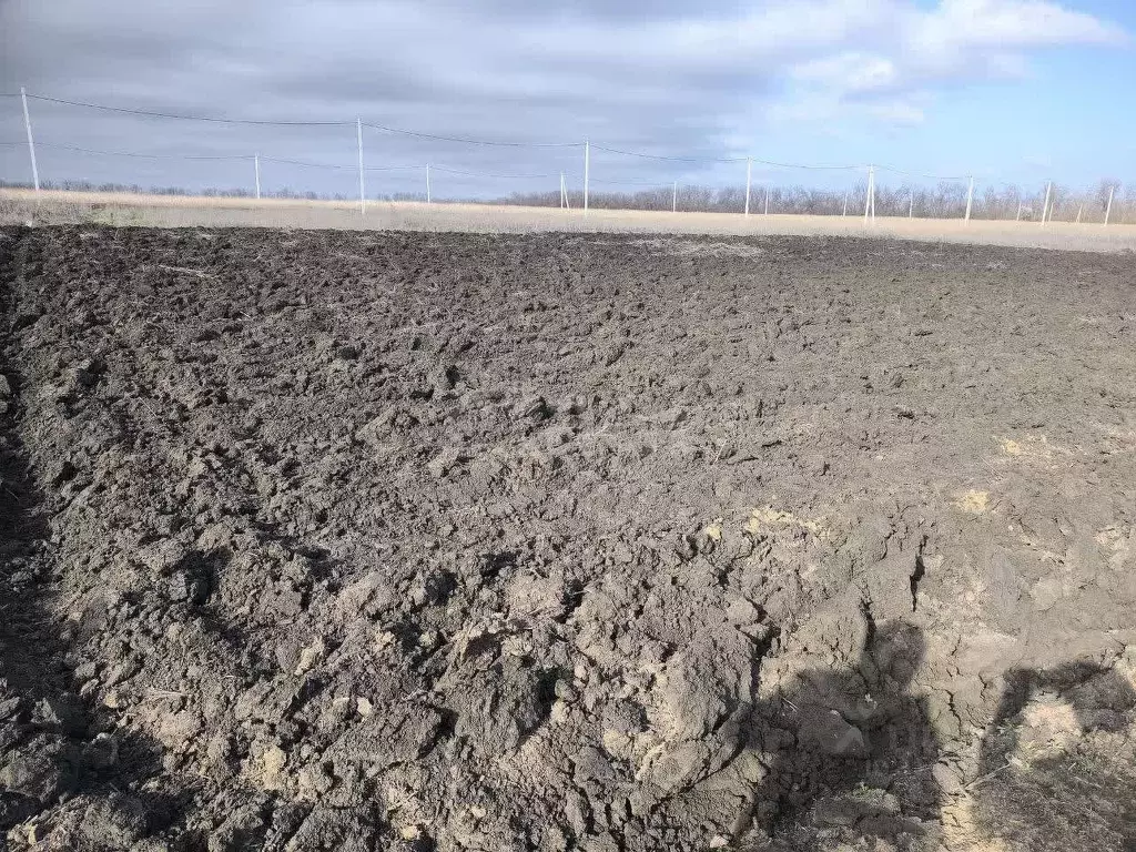 Участок в Ростовская область, Мясниковский район, Красный Крым хут. ... - Фото 1