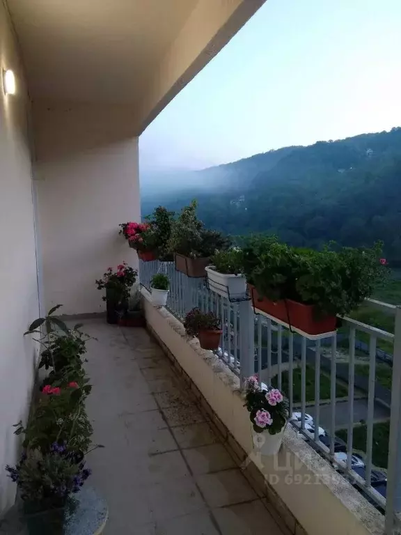 1-к кв. Краснодарский край, Сочи городской округ, с. ... - Фото 2