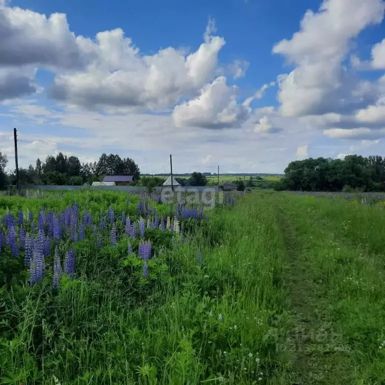 Участок в Калужская область, Село Бабынино с/пос, с. Антопьево ул. ... - Фото 1