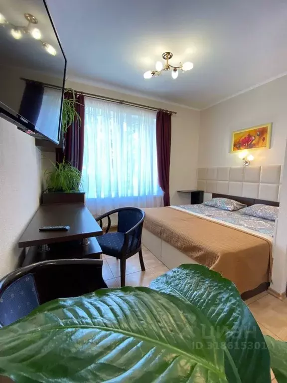 Студия Крым, Алушта ул. Горького, 6В (32.0 м) - Фото 0