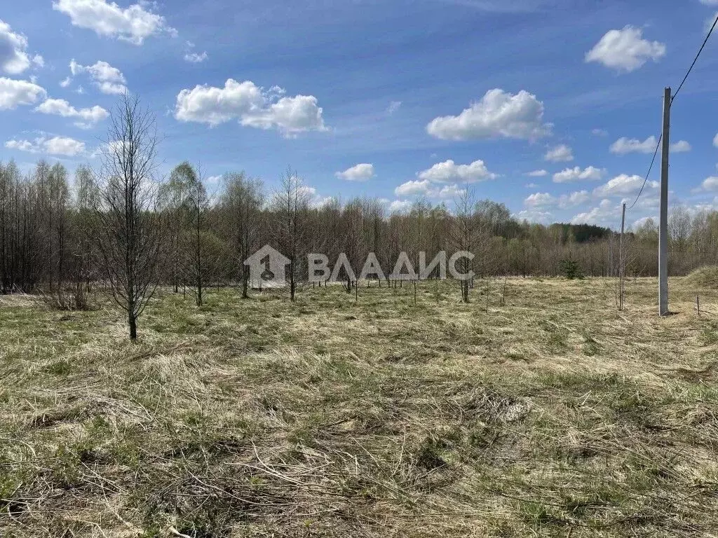 Участок в Владимирская область, Судогодский район, Головинское ... - Фото 1