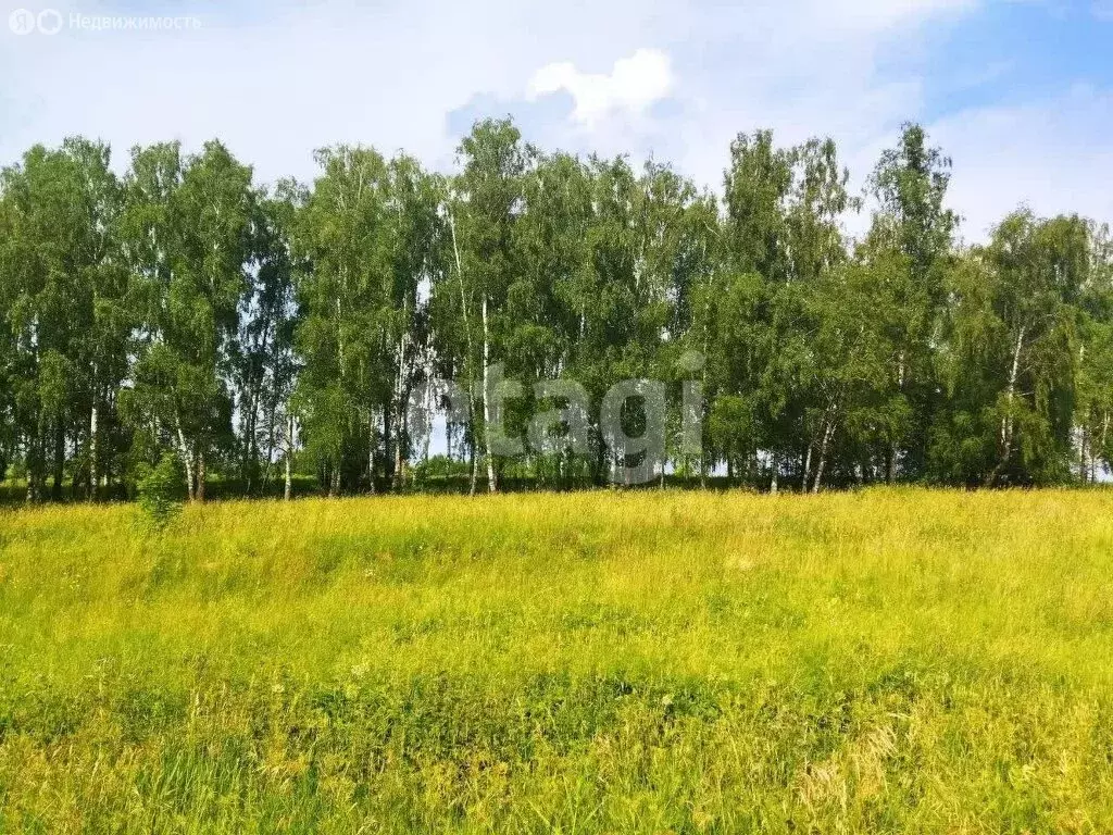 Участок в Суворовский район, муниципальное образование ... - Фото 0