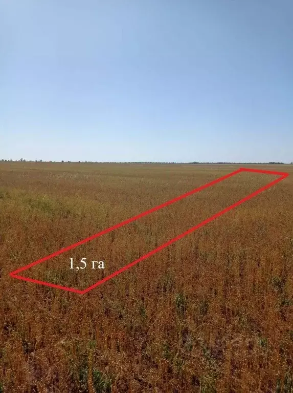 Участок в Крым, Сакский район, с. Добрушино  (152.4 сот.) - Фото 0