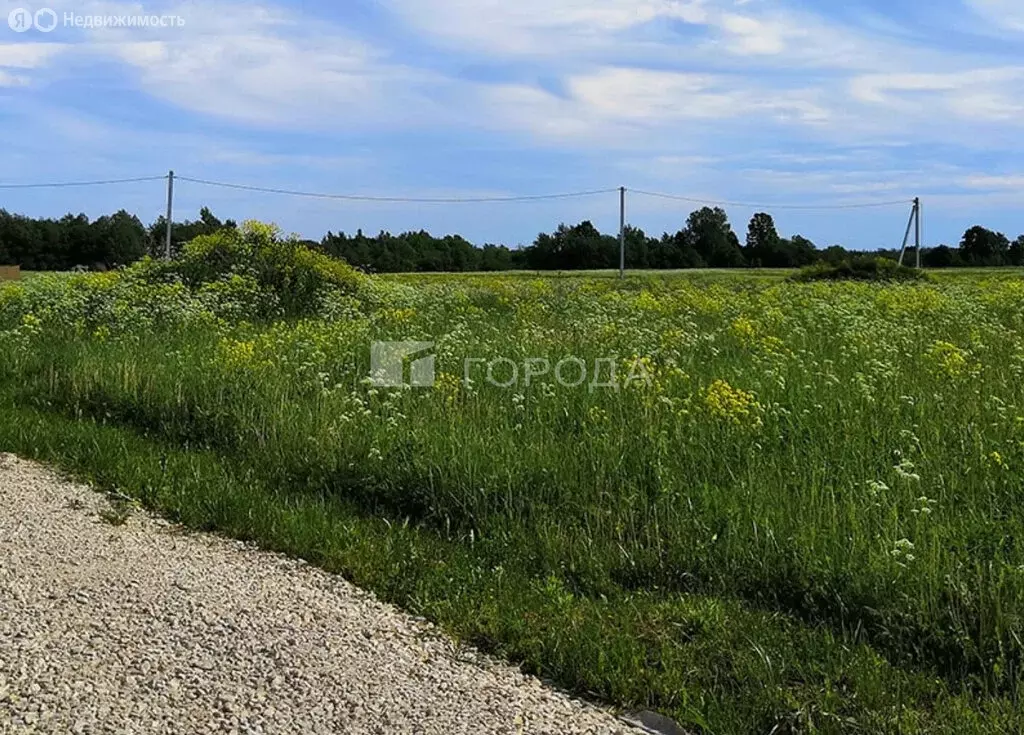 Участок в Первомайский район, посёлок Новый, улица Есенина, 75 (12 м) - Фото 1
