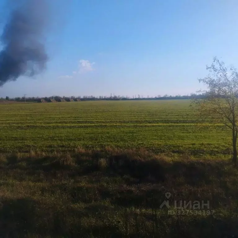 Участок в Крым, Симферопольский район, Гвардейское пгт ул. Ореховая, ... - Фото 1
