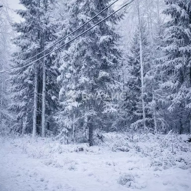 Участок в Ленинградская область, Ломоносовский район, Лопухинское ... - Фото 2