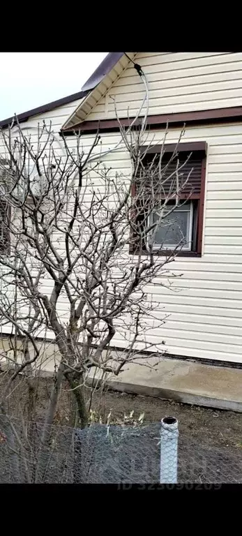 Дом в Волгоградская область, Калачевский район, Мариновское с/пос, ... - Фото 1