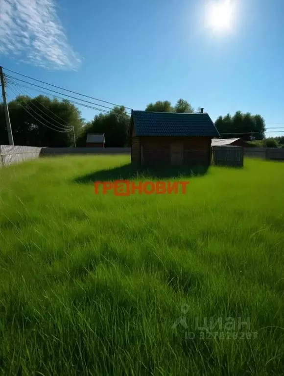 Дом в Новосибирская область, Новосибирский район, Толмачевский ... - Фото 1