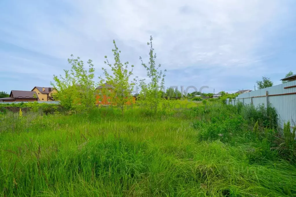 Участок в Липецкая область, Липецкий муниципальный округ, д. Кулешовка ... - Фото 1