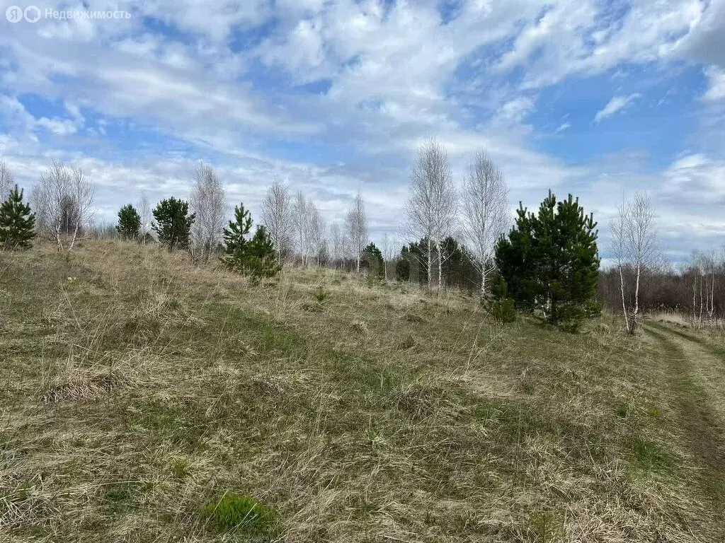 Участок в Корнилово, Михайловская улица (7 м) - Фото 2