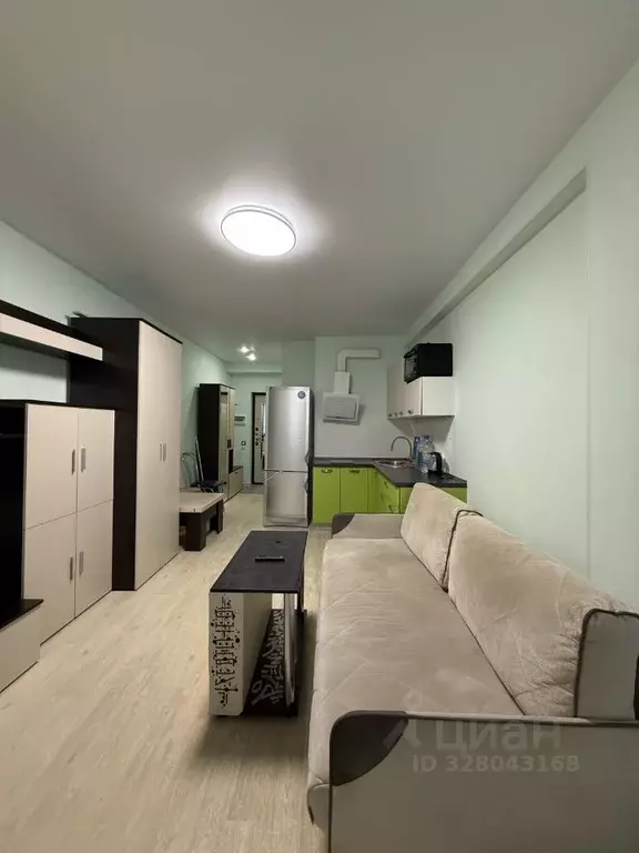 Студия Московская область, Богородский городской округ, с. Бисерово, ... - Фото 1