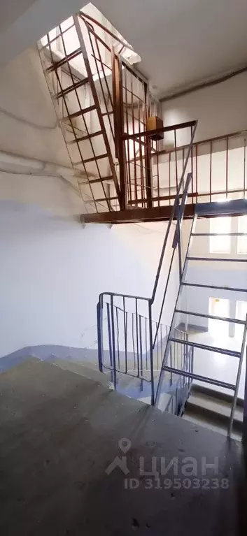 3-к кв. Пермский край, Пермь ул. Чехова, 24 (58.0 м) - Фото 1