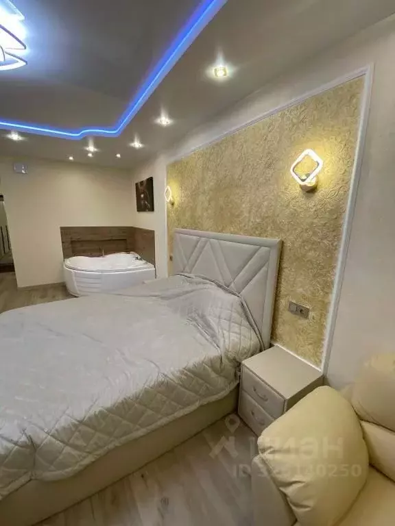 1-к кв. Московская область, Ногинск Богородский городской округ, ул. ... - Фото 2