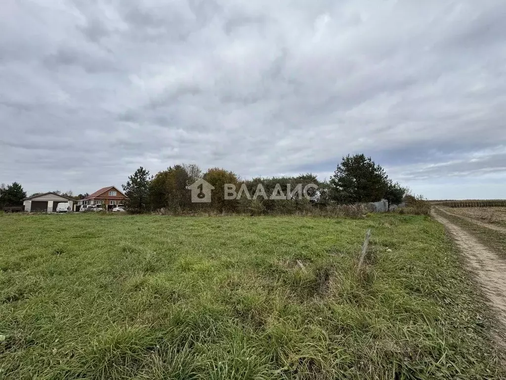 Участок в Владимирская область, Ковровский район, Ивановское с/пос, с. ... - Фото 2