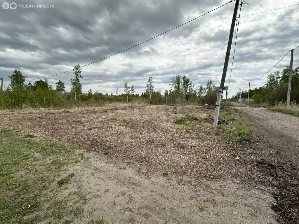 Участок в Нижнетавдинский район, СНТ Сочинские, 35-я линия (9 м) - Фото 1