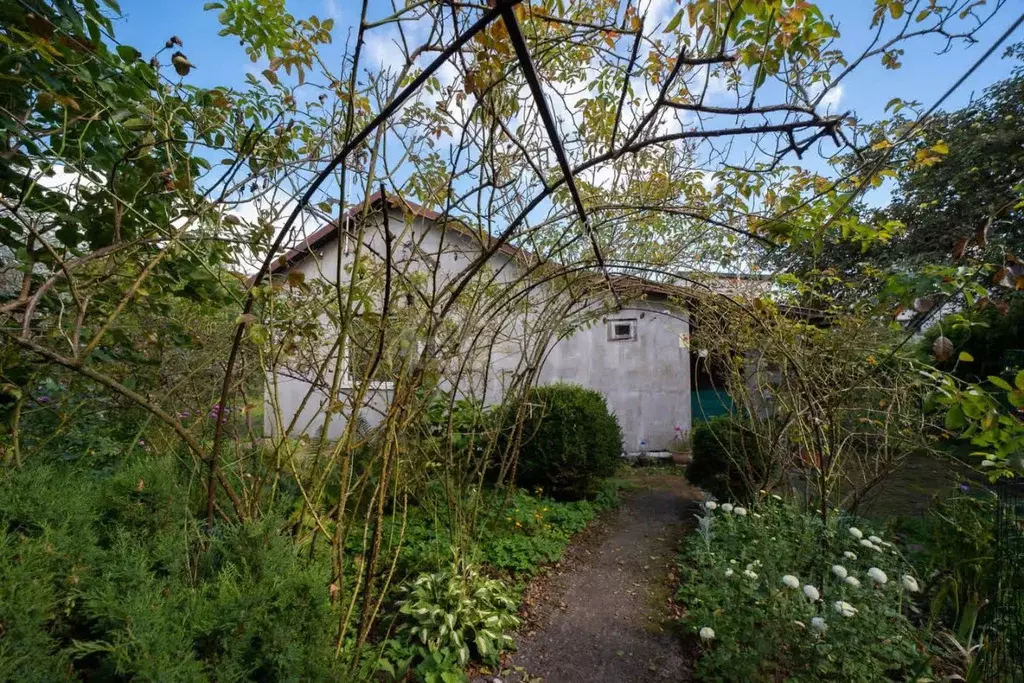 Дом в Калининградская область, Светловский городской округ, пос. ... - Фото 1