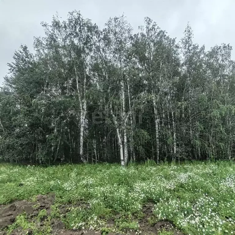 Участок в Тюменская область, Тюменский район, с. Горьковка  (6.0 сот.) - Фото 0