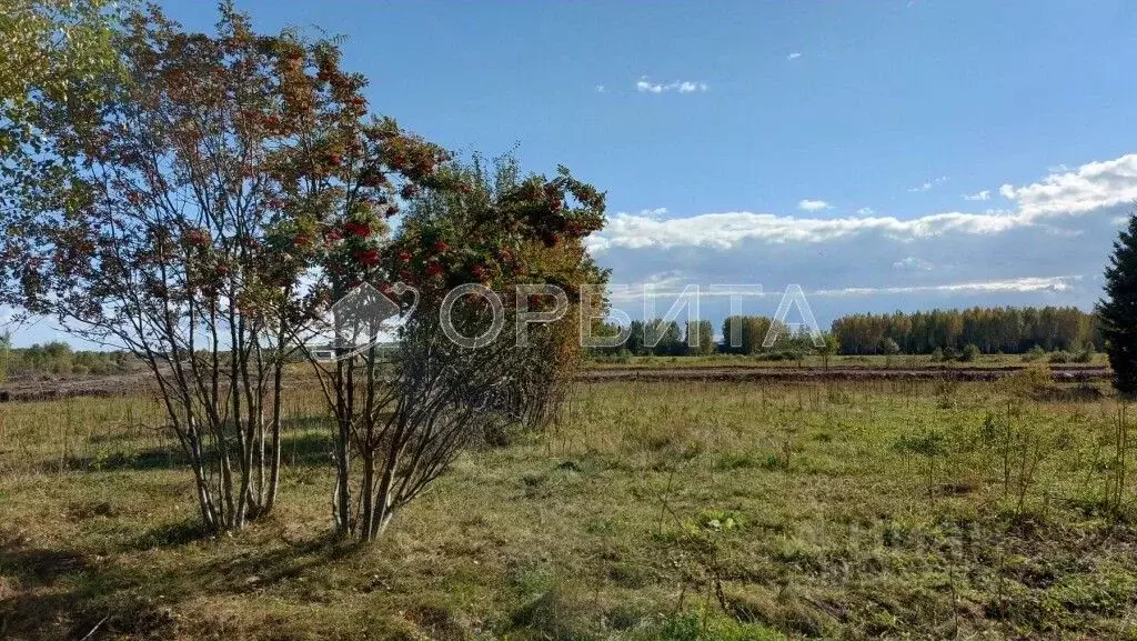 Участок в Тюменская область, Нижнетавдинский район, с. Тюнево  (7.03 ... - Фото 1