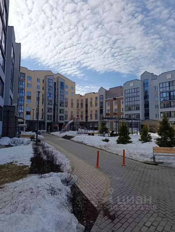 2-к кв. Кировская область, Киров ул. Дмитрия Козулева, 5 (44.3 м) - Фото 2