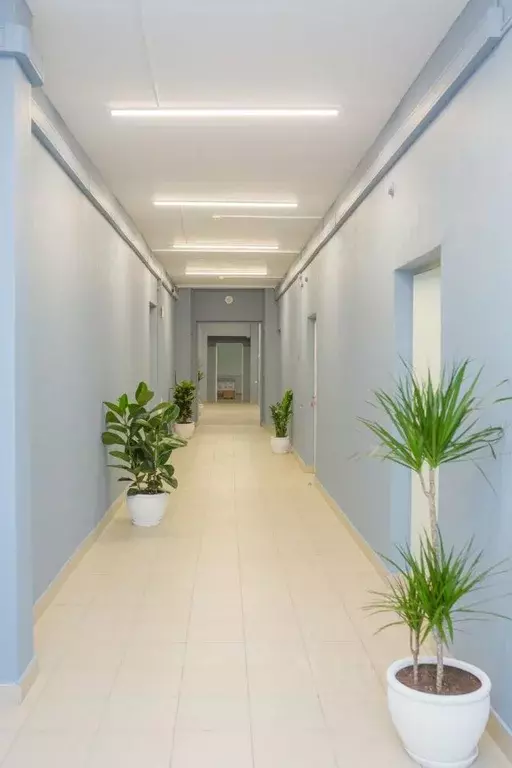 Офис в Ярославская область, Ярославль просп. Ленина, 25 (32 м) - Фото 1