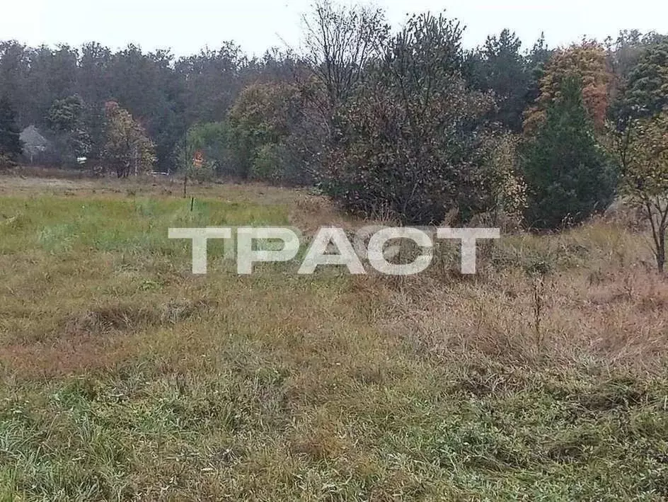 Участок в Липецкая область, Усманский район, с. Студенки Комсомольская ... - Фото 0